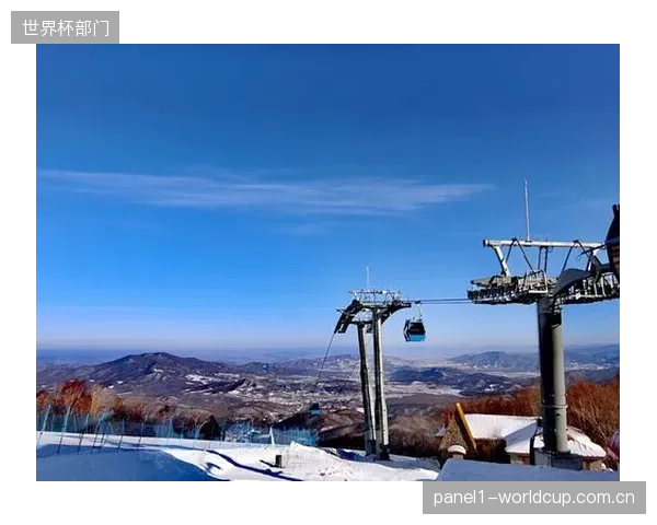 国内供应商的崛起，使滑雪场在索道核心部件的监测与维护上拥有了更多自主权